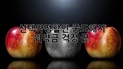 선택약정할인, 중도해지 위약금 걱정 끝!