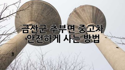 금산군 추부면 중고차 안전하게 사는 방법