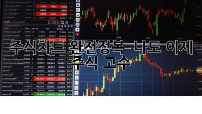 주식차트 완전정복 📈 나도 이제 주식 고수?! 😎